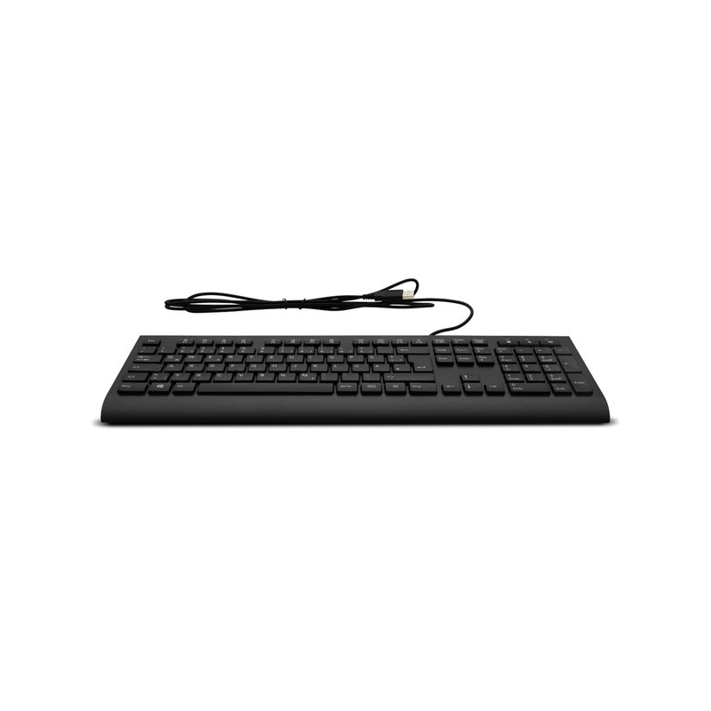 Tastatur Medion KB313U USB-Tastatur QWERTY, Schwarz