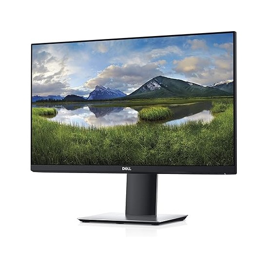 Dell P2319H IPS 23" Full HD · Professioneller Monitor Dell