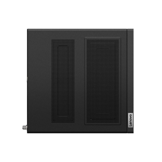 Lenovo ThinkStation P350 Tiny i5-11400 16GB SSD 512GB Mini-PC